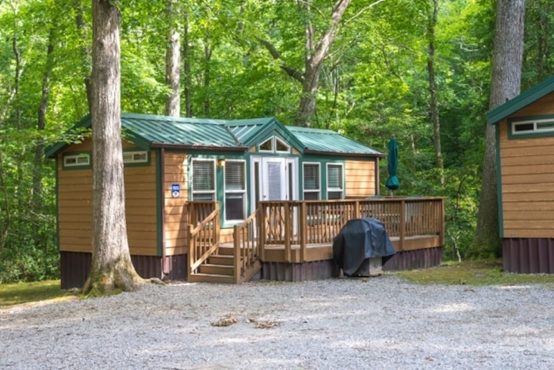 Yogi Bear™ Cabin-1